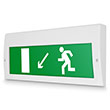 Световое табло «Направление к эвакуационному выходу налево вниз», Молния (220В РИП)
